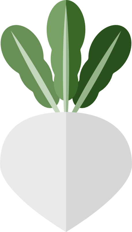 カブフラットデザインイラスト