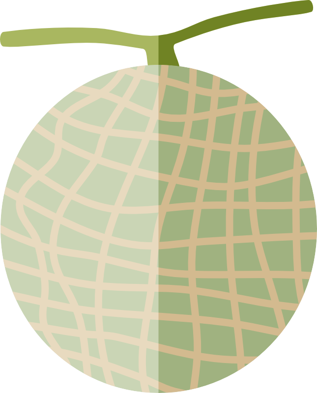 マスクメロンフラットデザインイラスト