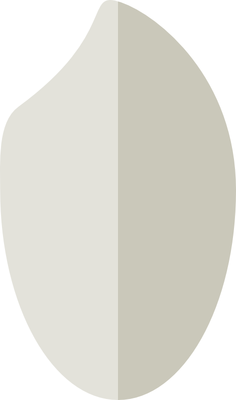 米粒